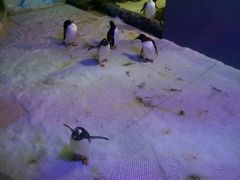 -成都浩海立方海洋公园