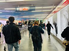 -大望路(地铁站)