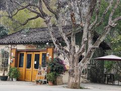-村上春树