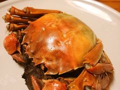 大闸蟹-青石桥市场北1-27号