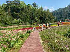 -广州市石门国家森林公园