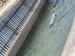 -八仙过海景区