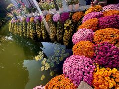 -杭州植物园