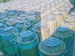 -厨邦酱油文化博览馆