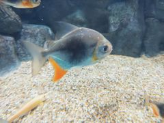 -常州海昌海洋探索馆