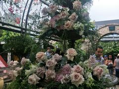-The Grounds of Alexandria