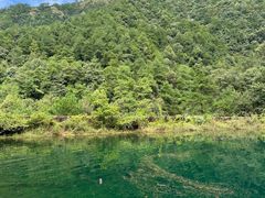 -大奇山国家森林公园