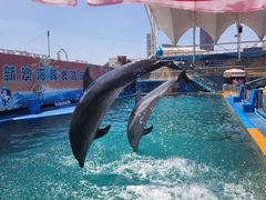 -秦皇岛新澳海底世界