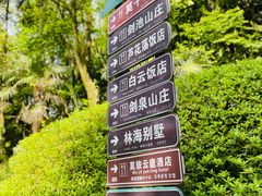 -莫干山风景区