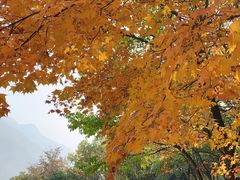 -白草畔自然风景区