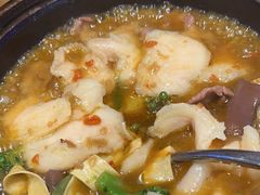 -辣想啵啵鱼(光环店)