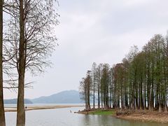 -四明湖