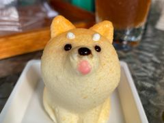 -柴犬高等学院·狗咖·柴犬售卖·宠物训练