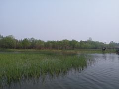 -溱湖国家湿地公园