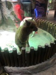 -宝燕乐园(闵行旗舰店)