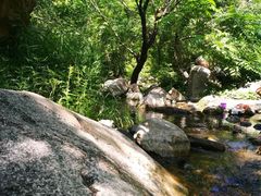 -碓臼峪自然风景区