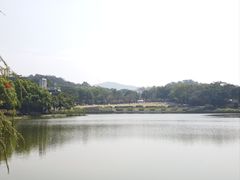 -东莞植物园