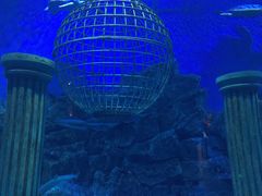 -芜湖新华联大白鲸海洋公园