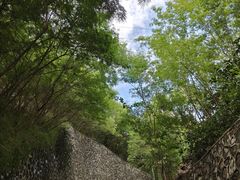 -小南山公园