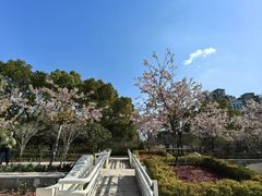 -新江湾城公园