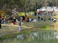 -铁山坪森林公园