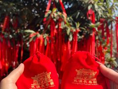 -长春观