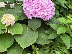 -Beans Solo豆号咖啡(百家湖花园店)