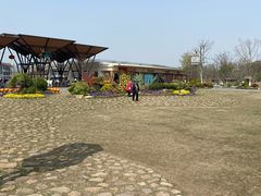 -上海长兴岛郊野公园