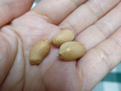 -刘艳明炒货(小心桥店)