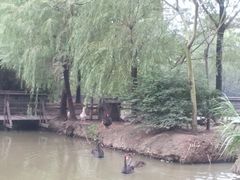 -溱湖国家湿地公园