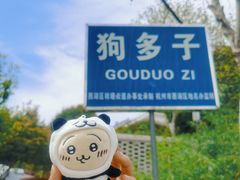 -龙坞茶村