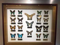 -上海昆虫博物馆