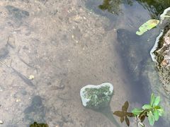 -杭州植物园
