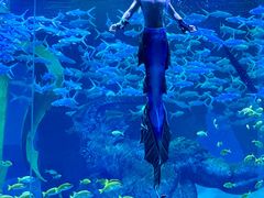 -波塞冬旅游度假区