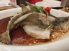 -庐州太太(双岗店)