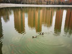 -迎泽公园