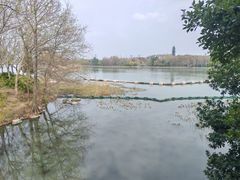 -长广溪湿地公园
