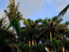 -三亚蜈支洲岛旅游区