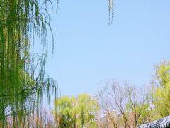 -莲花池公园
