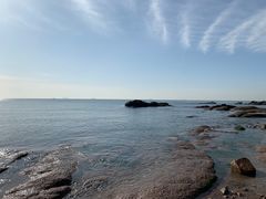 -青岛得宝湾维景国际大酒店(五四广场奥帆中心店)