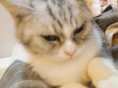 -万小咖.猫咖(中山路天虹店)