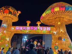-光明小镇欢乐田园