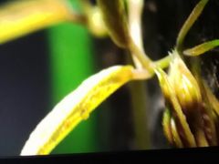 -UME影城(安贞DTS:X店)