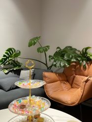 -防空洞舞蹈·瑜伽