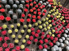 -南山植物园