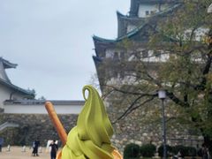 -名古屋城