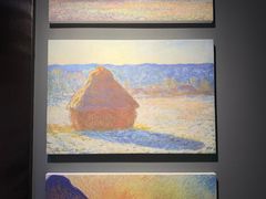 -印象莫奈时光映迹艺术展