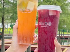 -快乐番薯(南海黄岐店)
