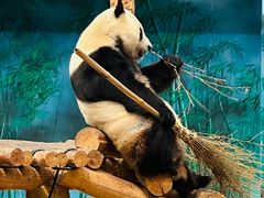 -沈阳森林动物园