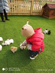 -萌宠亲子动物乐园(槐房万达店)